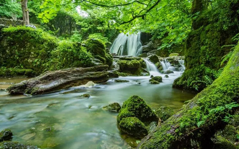 电子节能高端